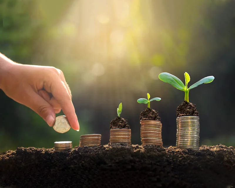 PERTUBUHAN ANAK YATIM DAN ASNAF AN-NAAFI SELANGOR